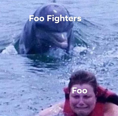 December 16th, 2021 11:53 AM. Foo Fighters shared a brilliant meme from a fan via Twitter, and if it doesn't make you LOL, we're not sure what will. Twitter user Dan Bauer tweeted, " @foofighters felling old? Remember the young girl from the Learn To Fly music video, well this is what she looks like now….". 