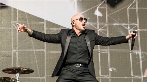 This is how many times Pitbull has ever said 'dale'