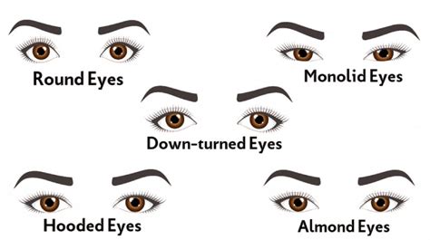 This is how to tell which eyeliner shape you should be …