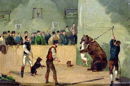 This legislative act made the act of Bull and Bear baiting both illegal