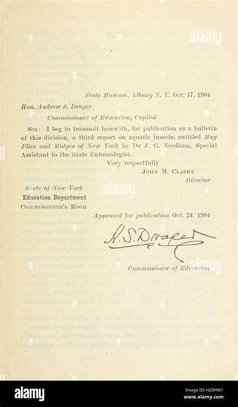 This report summarizes the activities