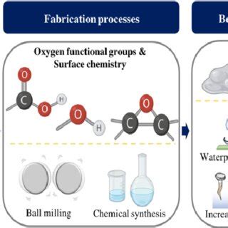 This review focuses mainly