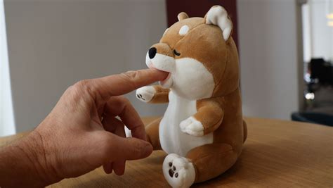This robot toy nibbles my finger and I m okay with that TechRadar