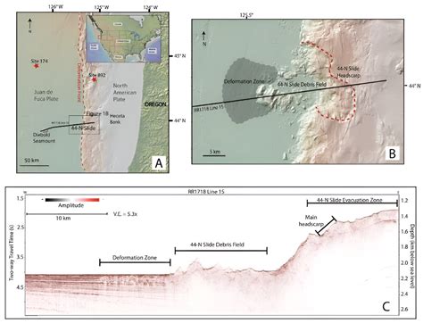 This study examines the