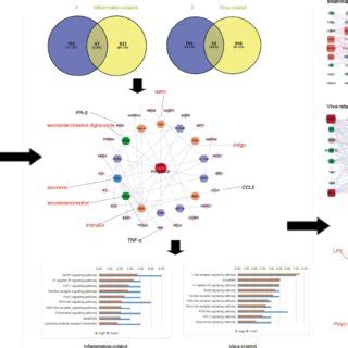 This study was aimed to