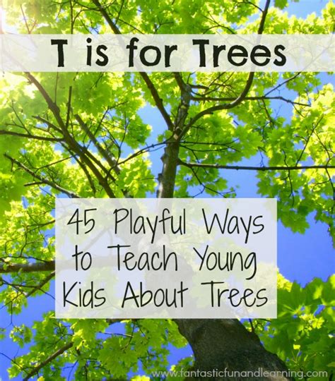 This tree activity is perfect for teaching students how to