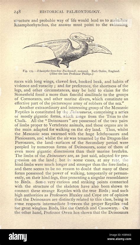 This volume explores the complex