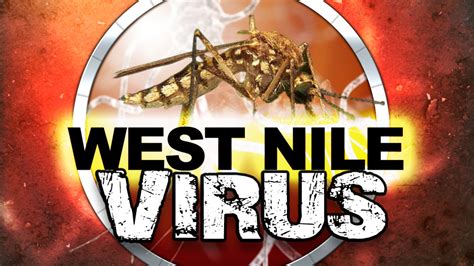 This year's first human death from West Nile virus confirmed in Weld County