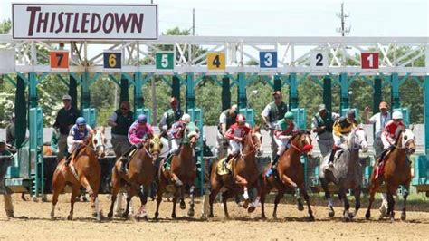 Find Thistledown horse racing news, handicapping, race results and free picks, updated continually. Year to Date Winnings. $3,658.80. $2,106.80 in payouts last week. …