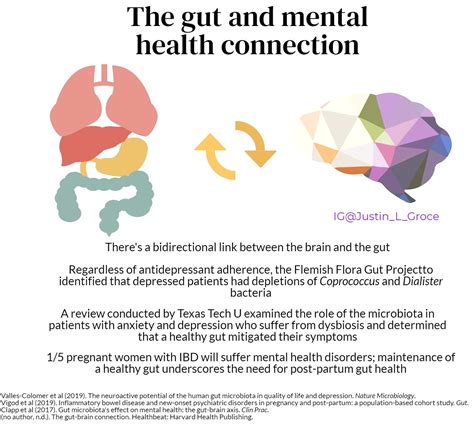 Thomas Gravdahl on LinkedIn: The Gut-Brain Axis Is More …