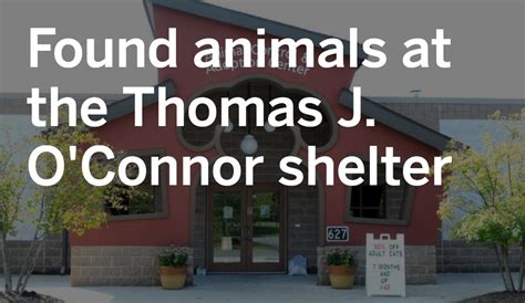 Find 29 listings related to Thomas J Oconnor Animal Shelter in Waterford on YP.com. See reviews, photos, directions, phone numbers and more for Thomas J Oconnor Animal Shelter locations in Waterford, NY.. 