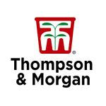 Thompson Morgan  Taizhou