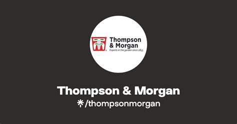 Thompson Morgan Instagram Changzhou