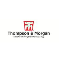 Thompson Morgan Linkedin Chengdu