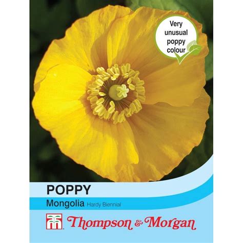 Thompson Poppy Yelp Agra