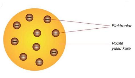 codini.rgarabwor.edu.pl. 