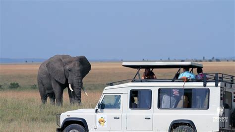 Thomson safaris. Things To Know About Thomson safaris. 