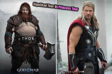 Thor in action #fyp #foryou #dog TikTok.