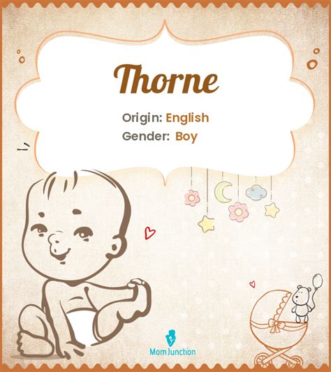 Thorne name meaning, origin and popularity