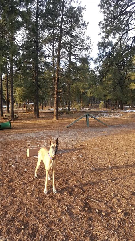 Thorpe Dog Park, Flagstaff Roadtrippers