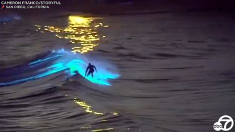 Those crazy beautiful, neon glowing waves are back along the California coast