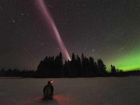 Those magnificent purple and green lights aren’t the aurora. They’re Steve.