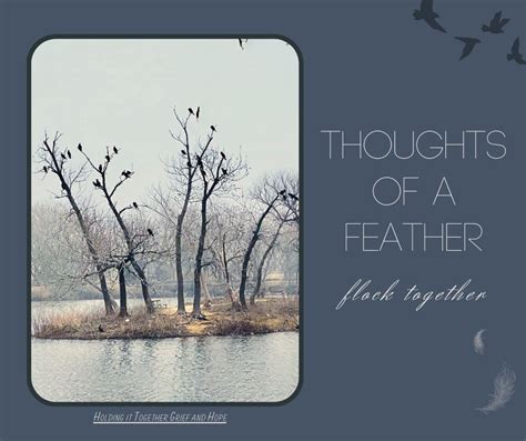 Thoughts Of A Feather