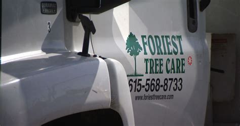 Thousands of dollars stolen, damaged from Franklin tree service - WTVF