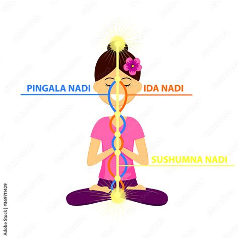 Three Nadis Ida, Pingala & Sushumna – 7 Chakra Store