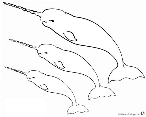 Three Narwhal Coloring Pages Free Printable Coloring Pages