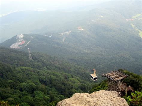 Three new species of Harpellales from Mount Tsukuba