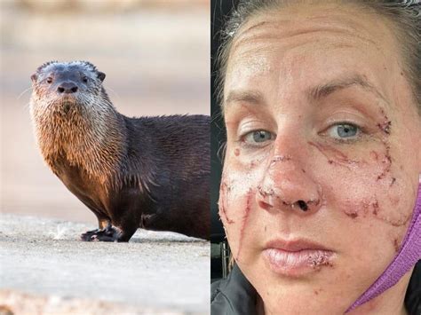 Three woman floating on a Montana river attacked by otter
