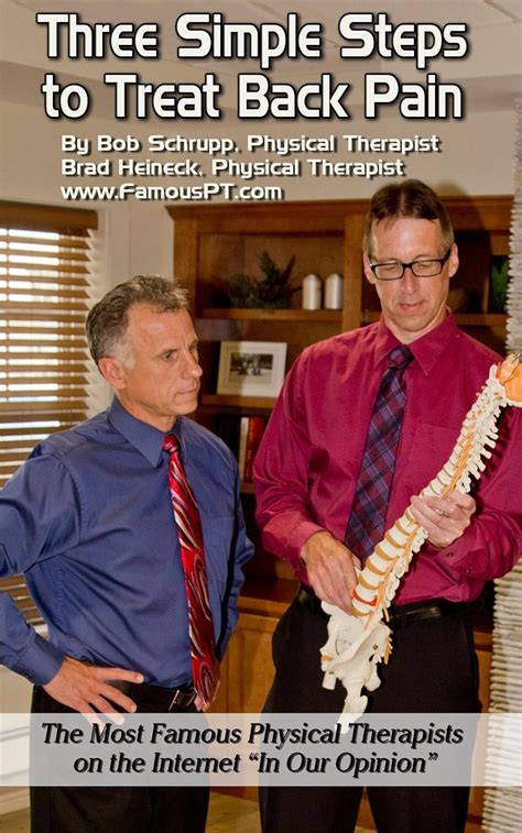 Read Online Three Simple Steps To Treat Back Pain By Bob Schrupp