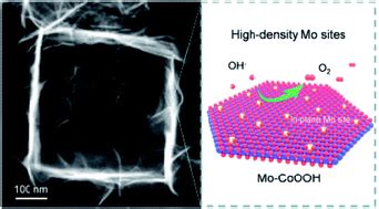 Three-dimensional CoOOH nanoframes confining high-density Mo …