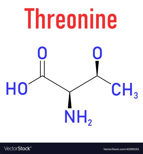 Threonine: Amino Acid Structure & Benefits - Study.com