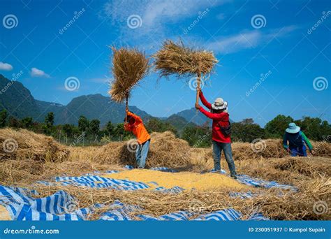 Read Threshing of Straw