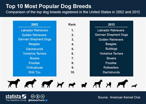 Throughout the s and s, Bulldogs enjoyed popularity, ranking close to the top 10 breeds
