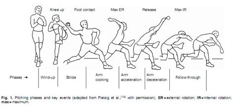 Throwing Biomechanics - Physiopedia