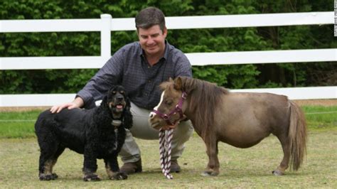 Thumbelina is a dwarf miniature horse and the world