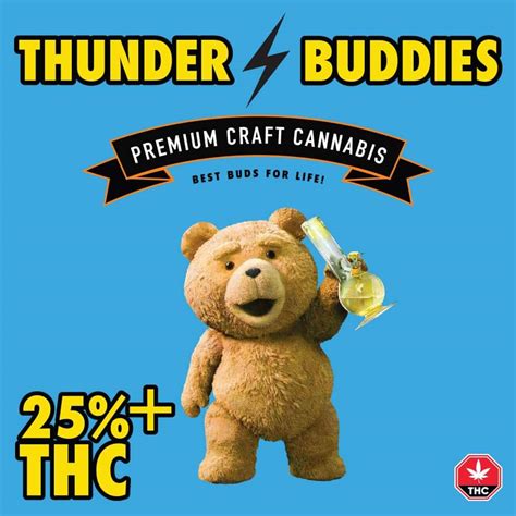 Thunder buddy for dogs. With Tenor, maker of GIF Keyboard, add popular Thunder Buddy animated GIFs to your conversations. Share the best GIFs now >>> 