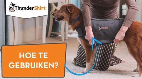 ThunderShirt voor honden Hoe trek je het vest aan? - YouTube