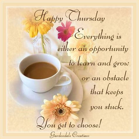 Thursday Thoughts Everything is either an opportunity to learn and