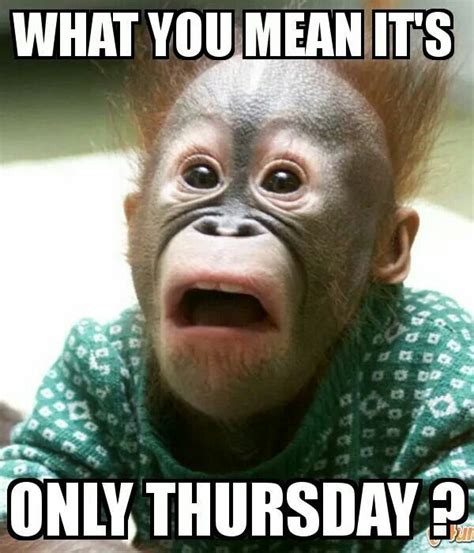 80 Funny Thursday Memes, Images, Pictures & Photos - Pinterest ... Watch. Shop