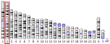 Thymosin α1 - Wikipedia