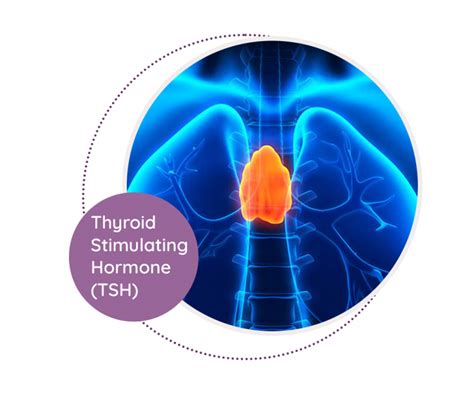 Thyroid Stimulating Hormone - an overview