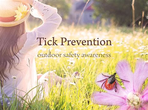 Tick Prevention Webinar Cultivating reliable outdoor safety awareness