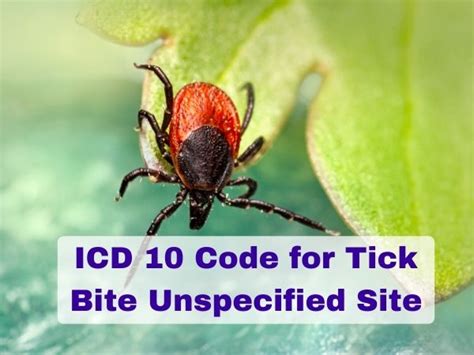 To detect visits related to tick bites, 