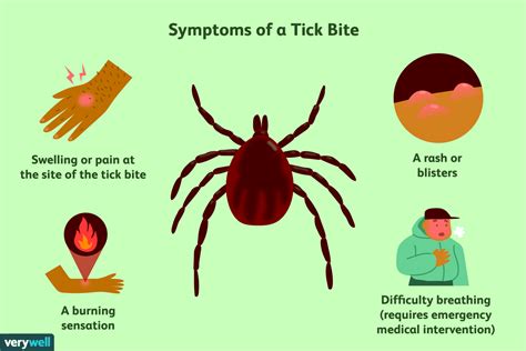 According to the Mayo Clinic, a typical deer tick bite looks like a small red bump. This appearance is normal and does not suggest any further problem; however, certain additional symptoms often indicate Lyme disease.. 