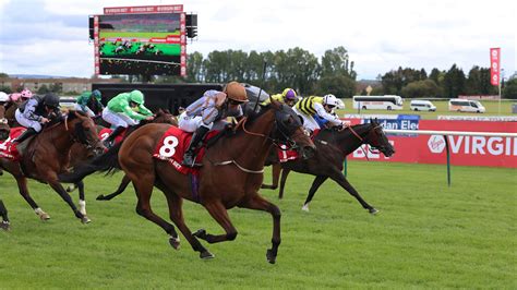 Ticket Types - Ayr Gold Cup