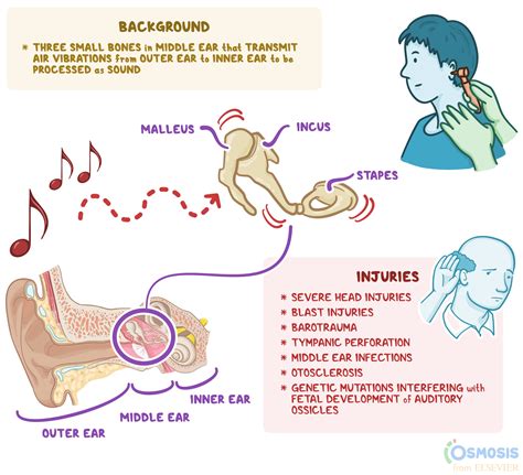 Ticking sound in ear when lying down